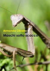 Maschi sotto attacco