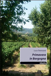 Recensione Libro “Primavera in Borgogna”