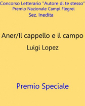 Recensione libro “Aner/Il cappello ed il campo”