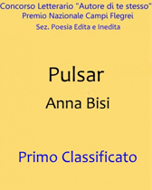 “Pulsar” di Anna Bisi