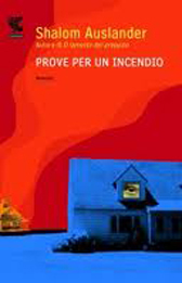 Recensione Libro “Prove per un incendio”