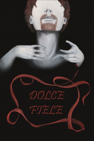 dolce-fiele-silvia-mariaelena-damiani-libri