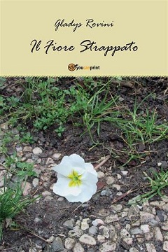 Il fiore strappato di Rovini