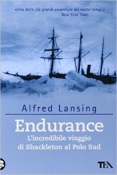Endurance di Lansing