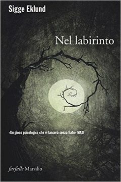 Nel labirinto libro