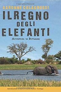 Il regno degli elefanti