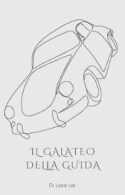 Il galateo della guida